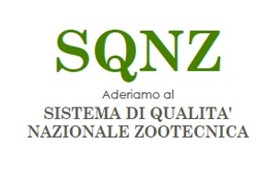 SQNZ