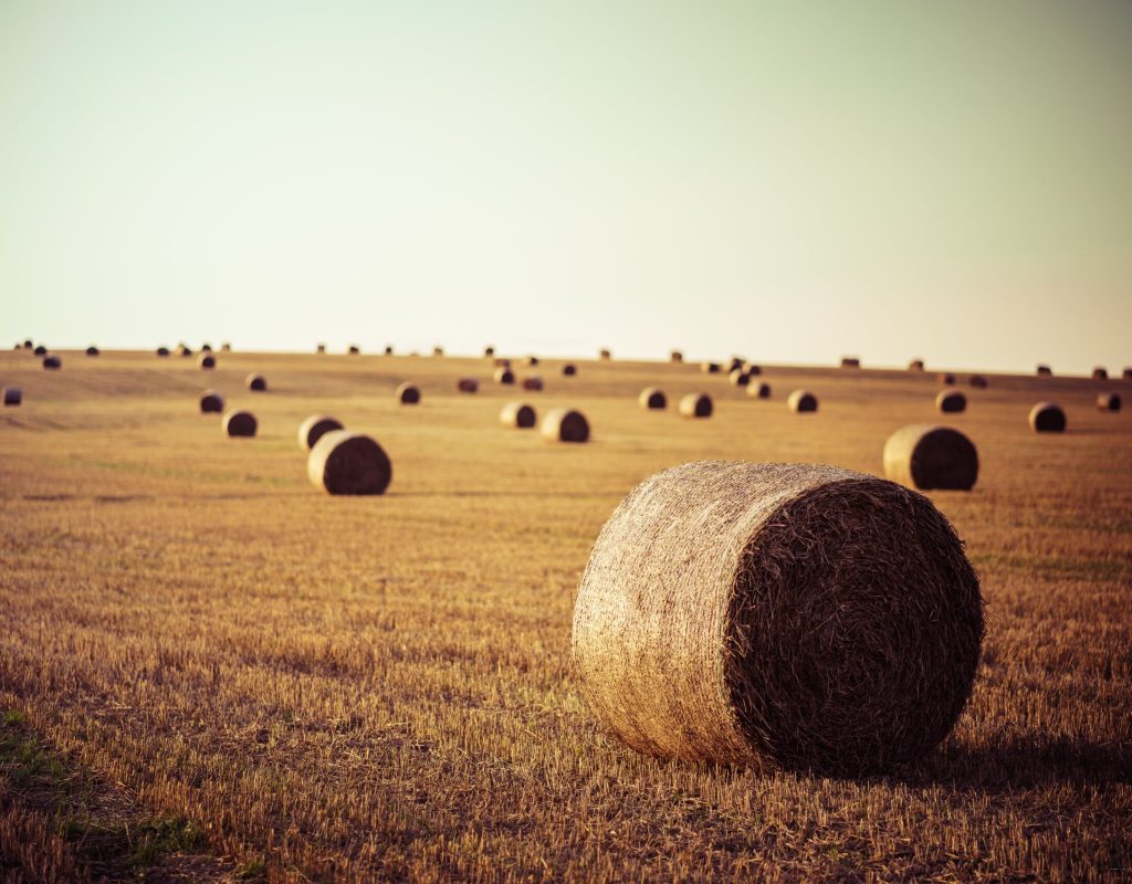 jakob-creutz-9h3qZh8aS-M-unsplash